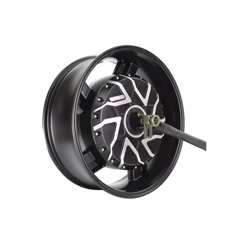 Kits de Conversão de Motor Elé - Qs Motor 273 8000W Hub Motor avaliação e preço